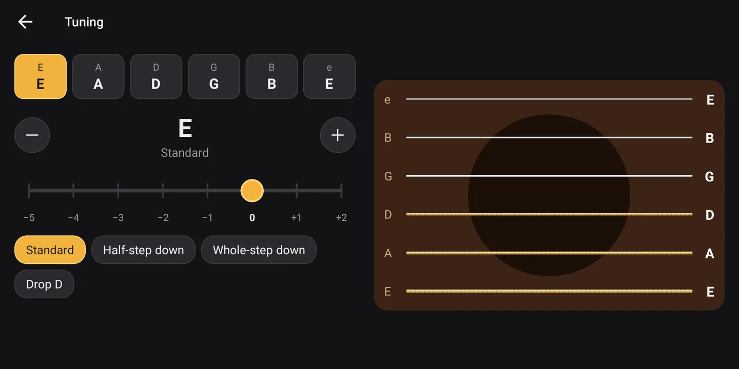 Tuning options: standard, half-step down, whole-step down and Drop D.